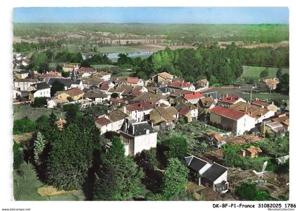 DK-BFP1-0894-87 - MEZIERE-SUR-ISSOIRE - En avion au-dessus - Vue générale