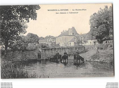 CPA 44 Moisdon la Riviere la Riviere Pean les chevaux à l'abreuvoir