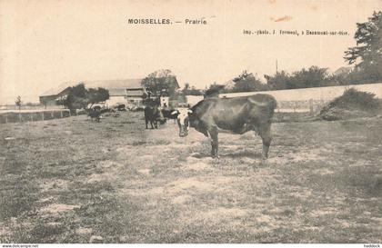 MOISSELLES - PRAIRIE
