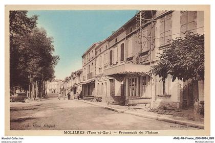 ANQP8-0619-82 - MOLIERES - promenade du plateau