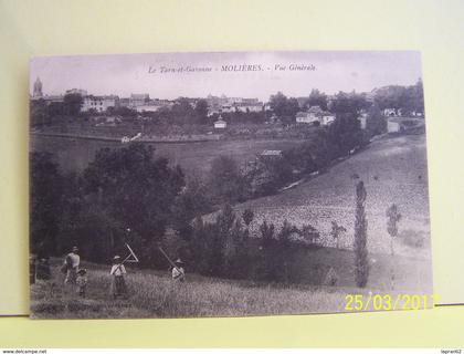 MOLIERES (TARN ET GARONNE) VUE GENERALE