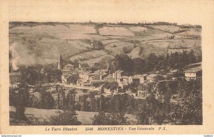 MONESTIES : VUE GENERALE