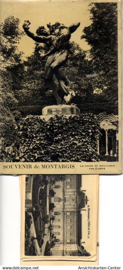 55095529 - Montargis