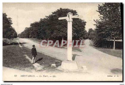CPA Montargis La Forêt