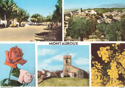 MONTAUROUX : MULTIVUES