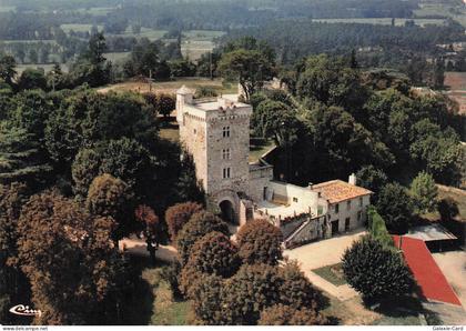 17 MONTENDRE LE CHATEAU DE MONTENDRE