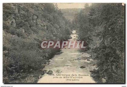CPA Les Gorges de la Duniere pres de Montfaucon Hte Loire
