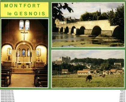 Montfort le Gesnois "multi vues"