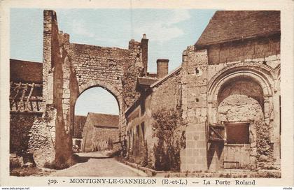 PIE.T-19-2905 : MONTIGNY LE GANNELON