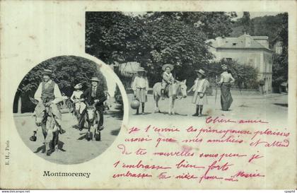 Montmorency CPA Ane donkey