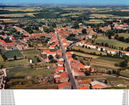 1 cpsm Montredon Labessonie