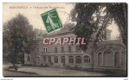 CPA Montsoult Chateau des Peupliers (r)