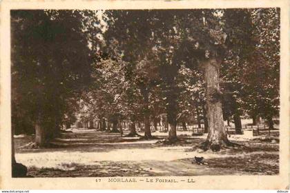 Carte Postale Ancienne - 64 - Morlaas - Le foirail - CPA - Voir Scans Recto-Verso - Poscard - Carta Postal -  Postkarte