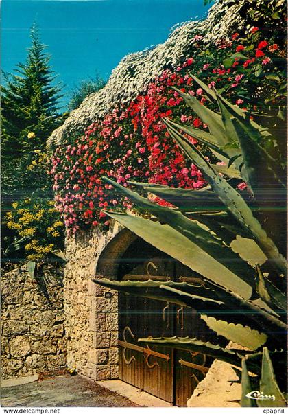 CPM Mougins (Alpes Mar) Un Coin Fleuri