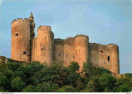 12 - Najac - Le Château - CPM - Voir Scans Recto-Verso