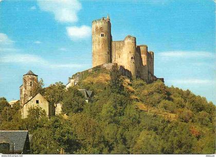12 - Najac - Le Château - CPM - Voir Scans Recto-Verso