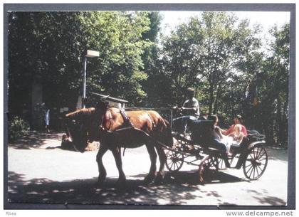 12 Najac village vacances attelage cheval caleche    D12D  K12167K  C12167C RH044066