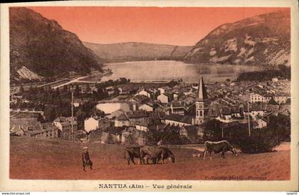 CPA Nantua Vue generale Vaches