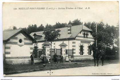 CPA - Carte Postale - France - Neuillé-Pont-Pierre - Stations d'étalons de l'Etat (I9743)