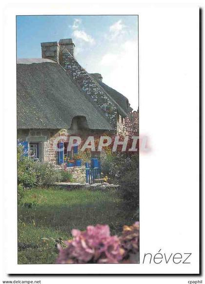 CPM Couleurs de Bretagne Nevez Finistere