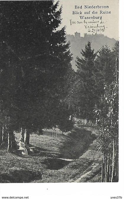 NIEDERBRONN-LES-BAINS - Vue sur les Ruines de Vasenburg