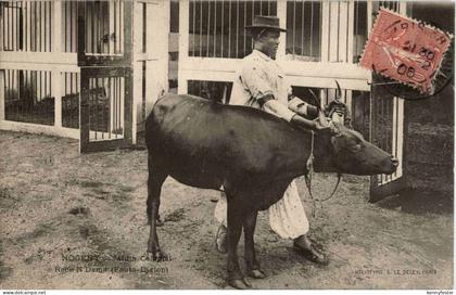 Nogent sur Marne - Jardin Colonial