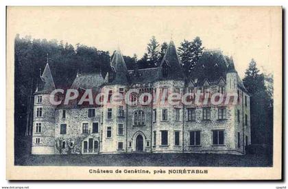 CPA Chateau de Genetine pres Noiretable