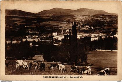 CPA NOIRETABLE - Vue générale (578518)