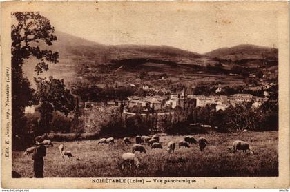 CPA NOIRETABLE - Vue panoramique (578509)