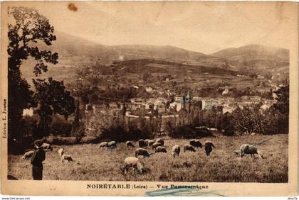 CPA NOIRETABLE - Vue panoramique (578512)