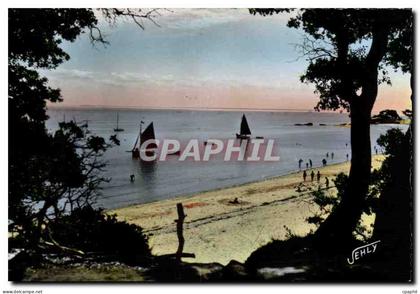 CPSM Noirmoutier Paysage