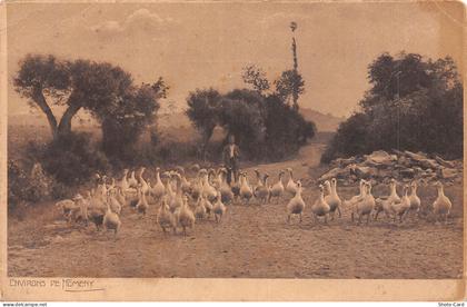 54 NOMENY ENVIRONS DE NOMENY