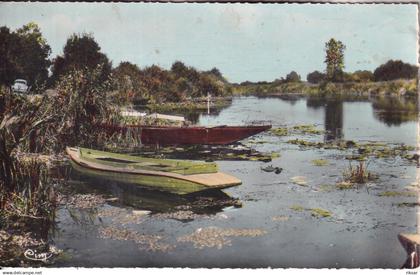 NORT SUR ERDRE