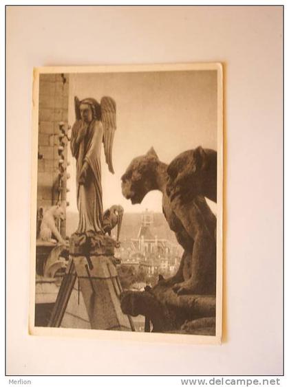 Paris -Auf den Türmen von Notre Dame in Paris    -  D70595