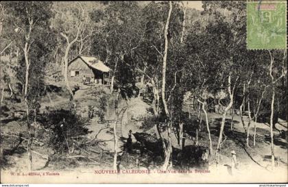 CPA Neukaledonien, Une vue dans la brousse