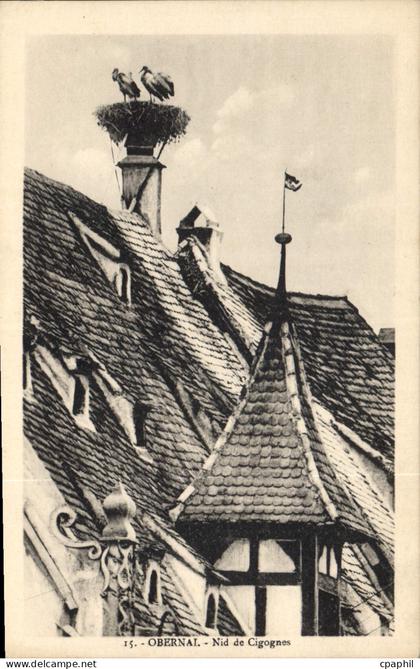 CPA Obernai Nid de Cigognes