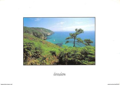 B49784 evasion Ploemeur   france