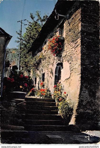 B50840 rochefort en terre   france