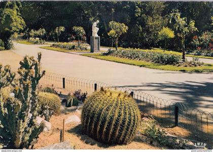 BF13286 jardin exotique au jardin des plantes angers  france front/back image