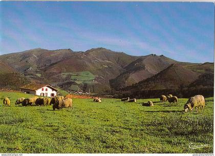 BF13519 pays basque bidarray  france front/back image
