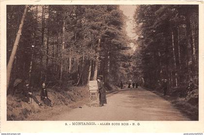 BF16073 montargis allee sous bois montargis france