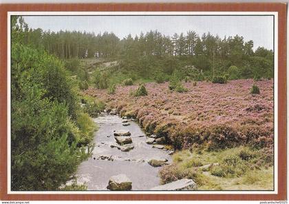 BF20757 au pays de la bruyere  france   front/back image