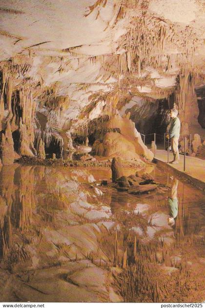 BF25533 saint ambroix gard la cocaliere grotte de lere   france front/back image