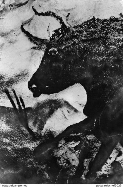 BF30076 montignac sur vezere dordogne france