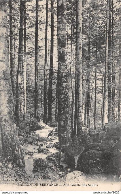 BF3746 ballon de servance france goutte des saules