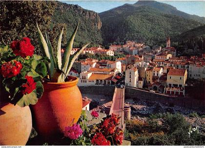 BR11191 Amelie lEs Bains palalda vue generale   france