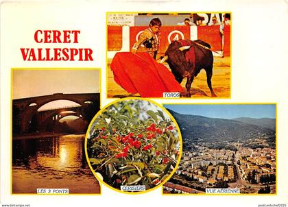 BR15899 Ceret Vallespir  france