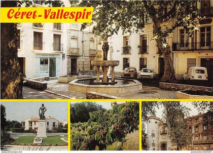 BR15978 Vallespir Ceret   France