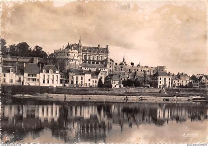 BR16403 Amboise Chateau d Amboise   france