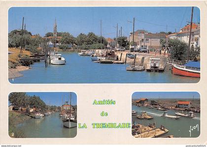 BR21089 La Tremblade   france